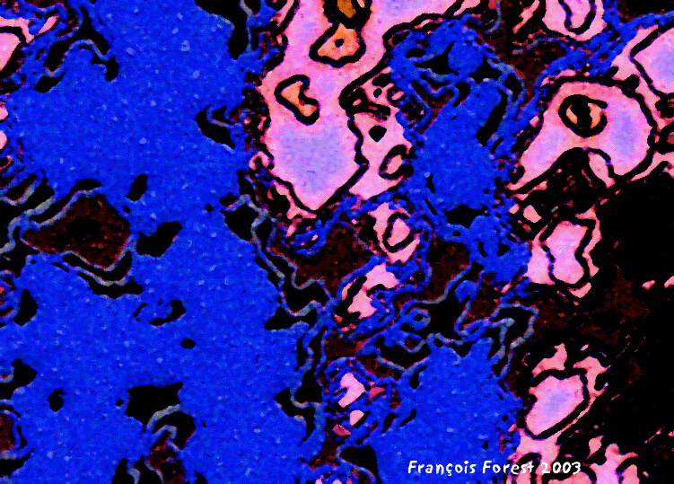 DESCENTE AUX ENFERS 2.gif